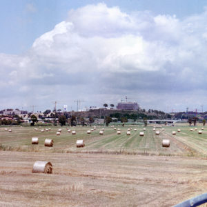 Ponte Galeria V